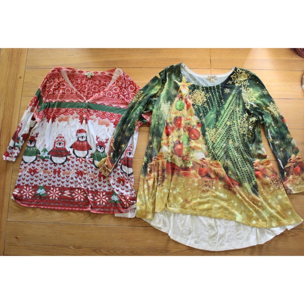 Oneworld (2) Piece Plus Size Bundle Lot Holiday Tops Bohemian